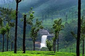 Valparai A Unexplored Wonderful Tourist Hill Resorts Pollachi Tourism Tourist Tourist Spots Hill Station