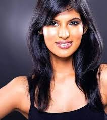 Stephenson Standard Company Limited