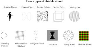 Images that appear to be larger will be perceived as closer and part of the figure while those that are smaller will seem further away and part of the background. Frontiers The Independent And Shared Mechanisms Of Intrinsic Brain Dynamics Insights From Bistable Perception Psychology