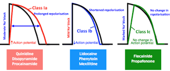 Image result for Sodium Channel Blocker