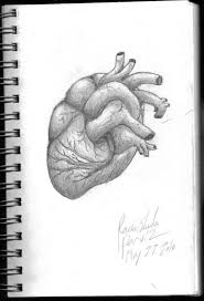 Check spelling or type a new query. Realistic Heart By Reynbeau12 On Deviantart