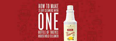 Witch hazel soothes and heals the skin. How To Make 25 Diy Cleaners With One Bottle Of Thieves Household Cleaner Young Living Canada Blog