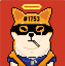 My Official Shiba Inu Shiboshi Nft 1753 10000 Name Heisenwoof R Shibainucoin