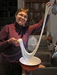 Mozzarella Recipe With Instant Nonfat Dry Milk Mozzarella Recipes Mozzarella Powdered Milk