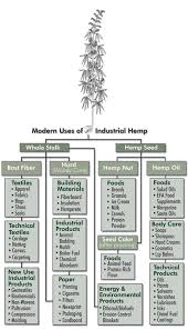 no hype just hemp freedomworks