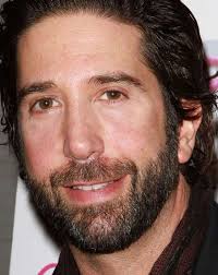 I don't own any of this footage no copyright. David Schwimmer Princesas