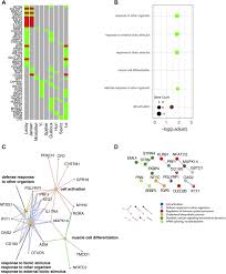 Major Depressive Disorder Is Associated With Differential Expression Of Innate Immune And Neutrophil Related Gene Networks In Peripheral Blood A Quantitative Review Of Whole Genome Transcriptional Data From Case Control Studies Biological Psychiatry