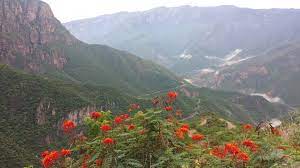 Sierra Tarahumara Chihuahua Mex Beautiful Chihuahua Mexico Chihuahua Natural Landmarks