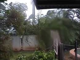 Cyclone Larry in Bayview Heights, Cairns, 2006