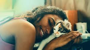 Kedi Korkusu Nasil Yenilir Petburada Com