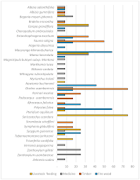 Image result for Mitragyna rubrostipulata