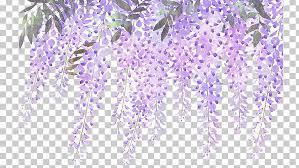 Pin By Lisel Rice On Scrapbook Kits Purple Wisteria Lavender Flowers Colorful Flowers