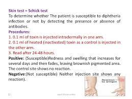 A small amount of diphtheria toxin is injected into the skin; Diagnostic Microbiology Lecture 13 Gram Positive Non Endospore Forming Bacilli Corynebacterium Abed Elkader Elottol Msc Microbiology Abed Elkader Ppt Download