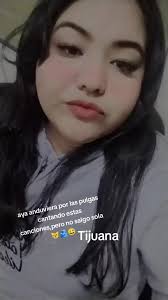 Las Pulgas En Tijuana 26 De Mayo