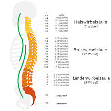 Hohlkreuz Definition Ursachen Behandlung Liebscher Bracht