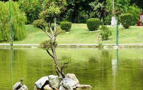 Japanese Garden Ipoh Ticket Price Timings Address Triphobo