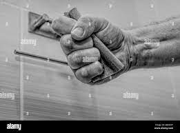 crushed toilet roll tube in fist Stock Photo - Alamy