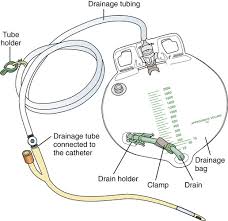 Urinary Catheters Nurse Key