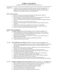 team leader resume supervisor cv
