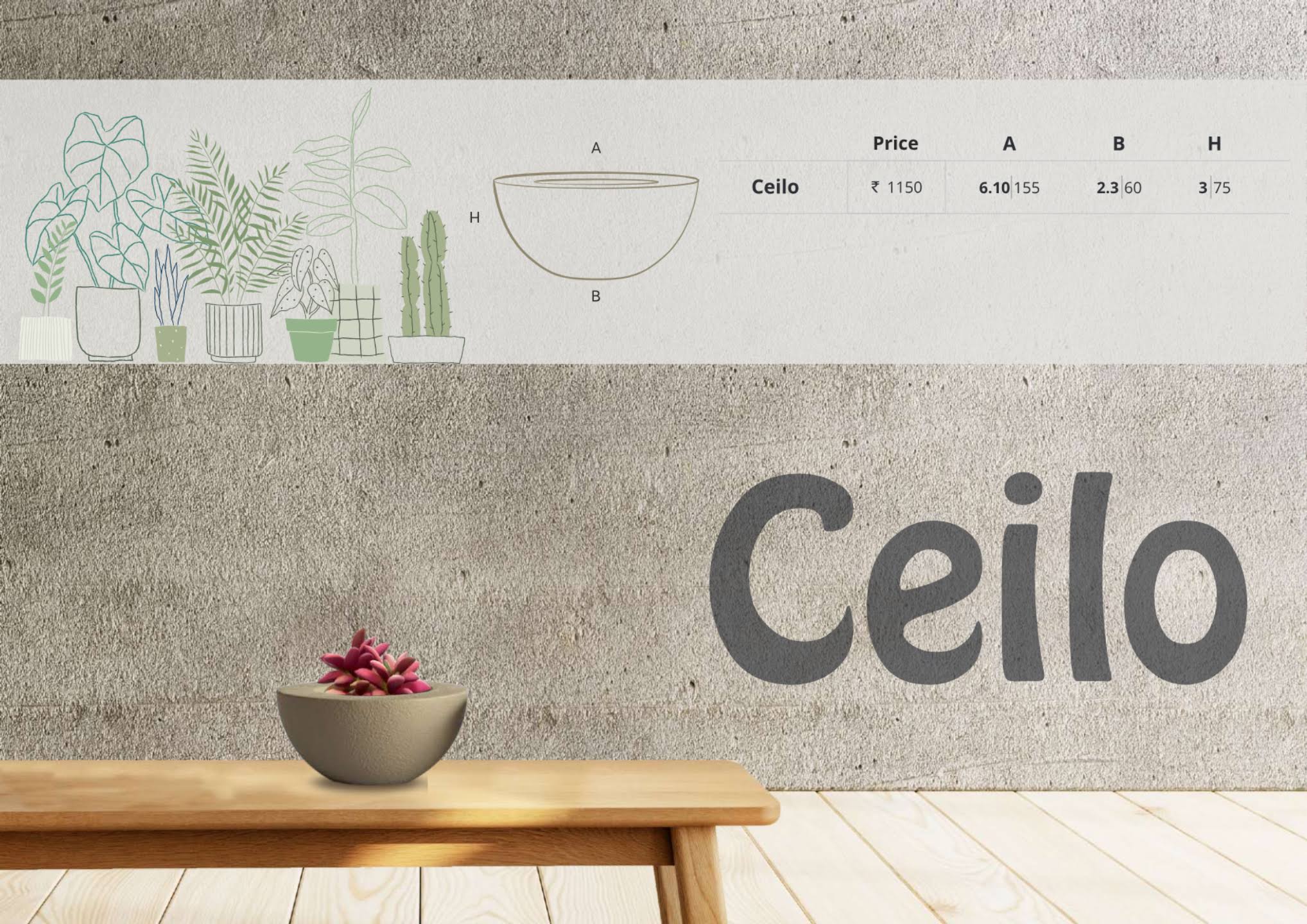 Ceilo product image