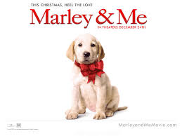 Purchase marley & me on digital and stream instantly or download offline. Marley Me Wallpapers Movie Hq Marley Me Pictures 4k Wallpapers 2019