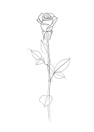 Single Rose Line Drawing Art Print By Adam Regester Illustration X Small Rose Line Art Single Rose Tattoos Line Art Drawings