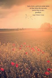 Time For Stillness Sunset Quotes Life Flower Quotes Life Summer Sunset Quotes