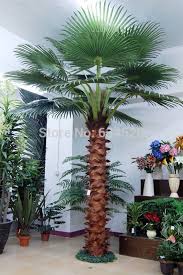 Us 160 0 Simulation Big Palm Trees Decoration For Indoor Outdoor Fake Trees Hot Sale Fake Plants Guagnzhou China Large Factory Manufacing Decorating Ideas Chr Palm Tree Decorations Artificial Trees Outdoor Fake Trees