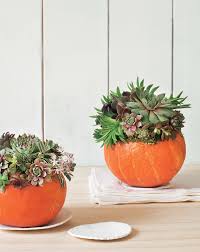 Weitere ideen zu blumentopf anmalen, blumentopf, selbstgemachte tongefäße. Herbst Deko Mit Kurbis 8 Kreative Diy Ideen Brigitte De