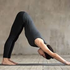 5 Downward Dog Variations To Tone Your Whole Body Yoga Poses For Beginners Yoga Poses Yoga Asanas