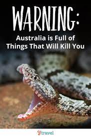 Yes Australia Is Full Of Animals That Can Kill You We Have The Most Deadliest Animals In The World Yet Australia Travel Deadly Animals Best Beaches To Visit