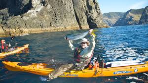 Things to do near ocean safaris kayak adventures. Kayak Fishing In New Zealand Kayak New Zealand