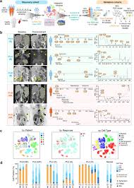 The developmental roles of the extracellular matrix. Longitudinal Single Cell Profiling Reveals Molecular Heterogeneity And Tumor Immune Evolution In Refractory Mantle Cell Lymphoma Nature Communications