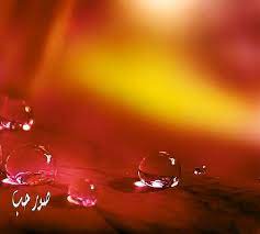 خلفيات تويتر طبيعية حلوة صور قطرات الندى لتويتر اجمل الصور على تويتر 215 beautiful pictures water photography pictures