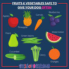 Fruits And Vegetables Your Dog Can Safely Eat Vetshopaustralia