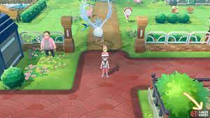 Co Op Play Travel Tips Gameplay Pokemon Let S Go Pikachu Let S Go Eevee Gamer Guides