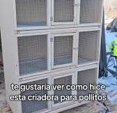 Creadora de Pollitos: Construcción paso a paso