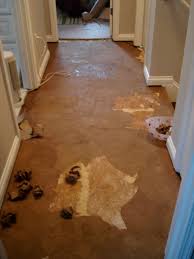 The Ultimate Brown Paper Flooring Guide Paper Bag Flooring Paper Flooring Brown Paper Bag Floor