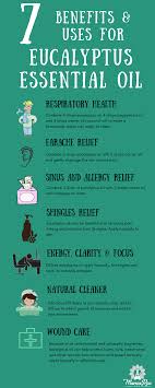 Eucalyptus essential oil is an amazing oil that comes. 7 Uses For Eucalyptus Essential Oil Dr Sara O Connell Eucalyptus Essential Oil Benefits Eucalyptus Essential Oil Essential Oils