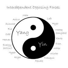 Afbeeldingsresultaat Voor Meaning Of Yin Yang Yin Yang Yin Yang Meaning Ying Yang
