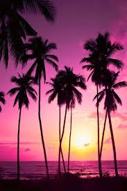 24 Cell Phone Backgrounds That Will Get You In The Mood For Summer 25 Photos Fondos De Pantalla Arboles Fotografia De Primavera Portadas Para Celular