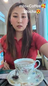 Milo Greyhound Coffee Lady Park Found