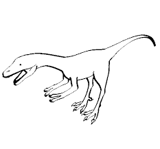Students will study zoology through readings, videos, and a variety of online activities.students will study the main branches of the animal kingdom including mammals, reptiles, amphibians, birds, insects, and fish, as well as others. Velociraptor Ii Coloring Page Coloringcrew Com