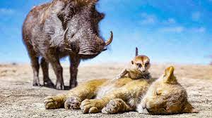 Timon And Pumbaa Find Baby Simba Scene The Lion King 2019 Movie Clip Youtube