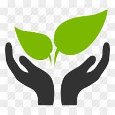 Download Nature Icons 2 300 Free Files In Png Eps Svg Format Plant In Hand Icon Free Transparent Png Clipart Images Download