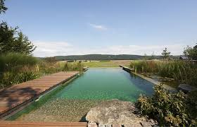 Biotop Natural Pools Garden Ponds Nature Pools Natural Swimming Ponds Natural Swimming Pools Natural Pool