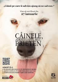24 De Caini Vor Putea Fi Adoptati La Grand Cinema More Odata Cu Premiera Filmului Cainele Adevaratul Meu Prieten Stiri Despre Filme
