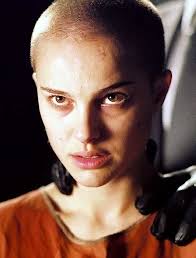 Bob Einstein Brings Back Super Dave