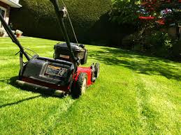 It S Not Your Imagination Your Lawn Mower Is Trying To Kill You Deseret News