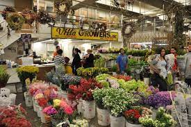 Maybe you would like to learn more about one of these? La Flower Mart Tours Los Angeles Floral District Guided Tour